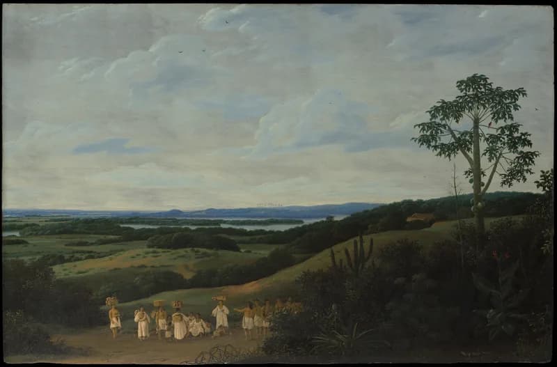 Frans Post — Brezilya Manzarası