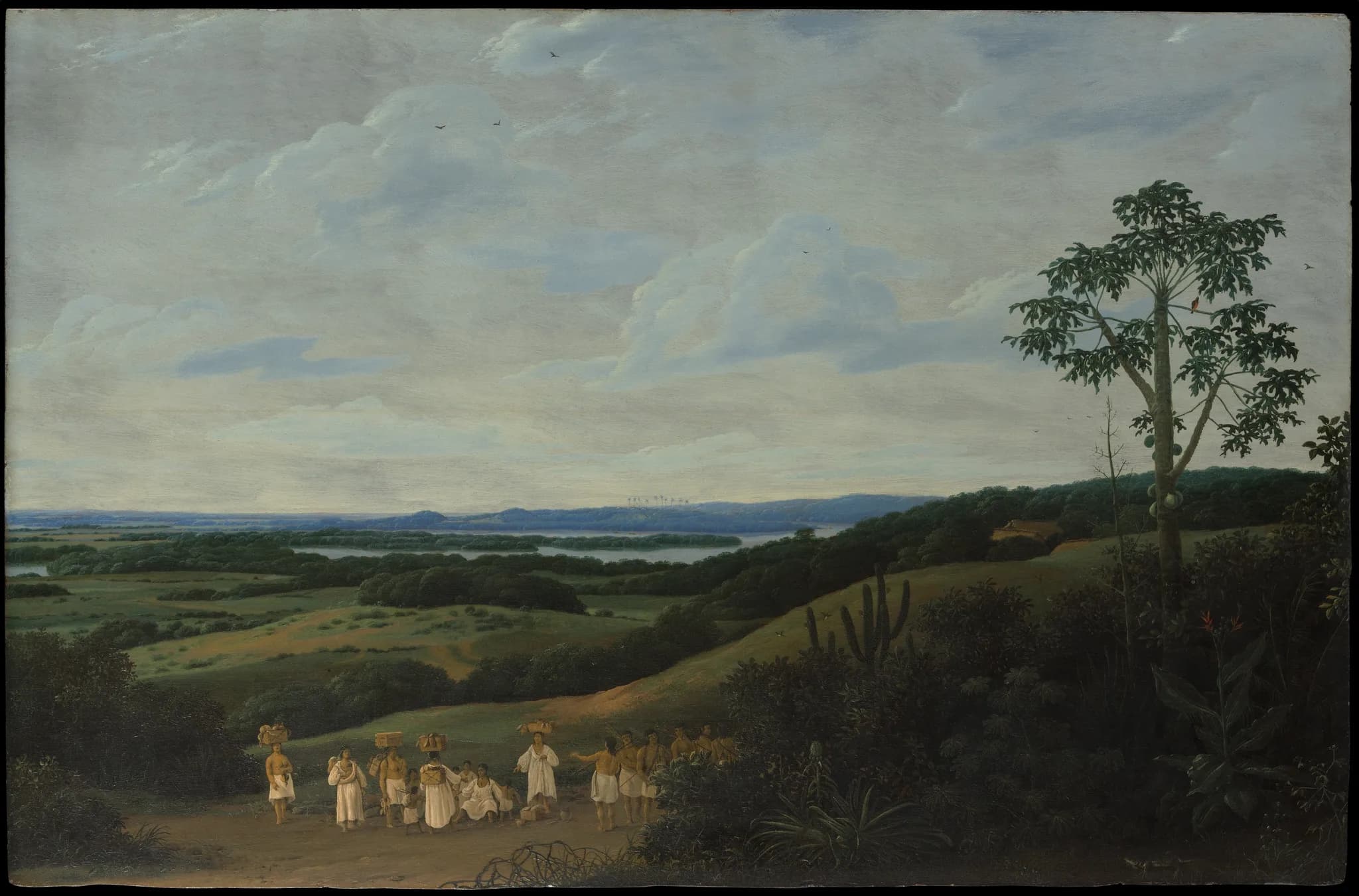 Frans Post — Brezilya Manzarası